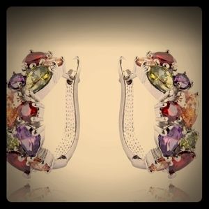 Sterling Silver Hoop Earrings